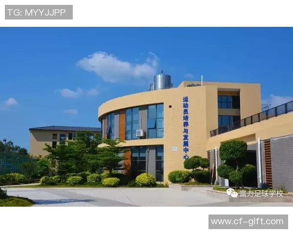 青训系统发展报告