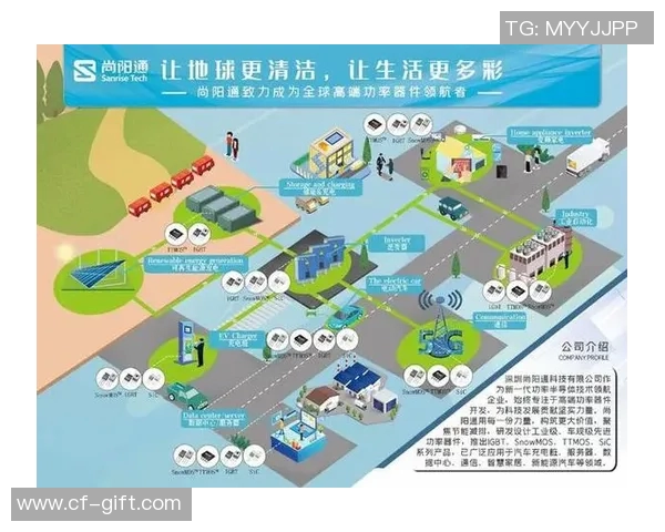 奥运会游泳接力赛中的战略布局与团队协作模式分析